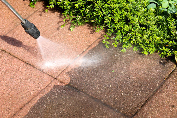 Best Exterior Home Cleaning  in Riverside, NY